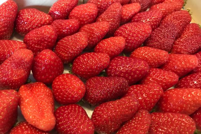 bret21-0132a Le Calvaire de Plougastel