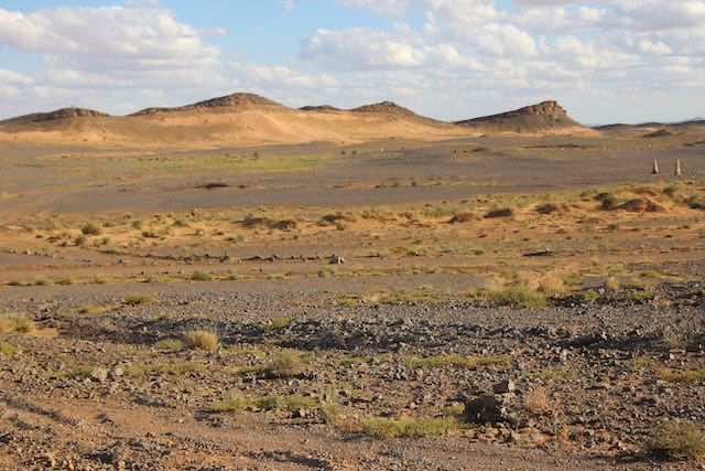0752 Erfoud région de fossilles