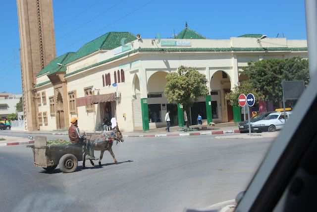 1015 Meknes Kenitra