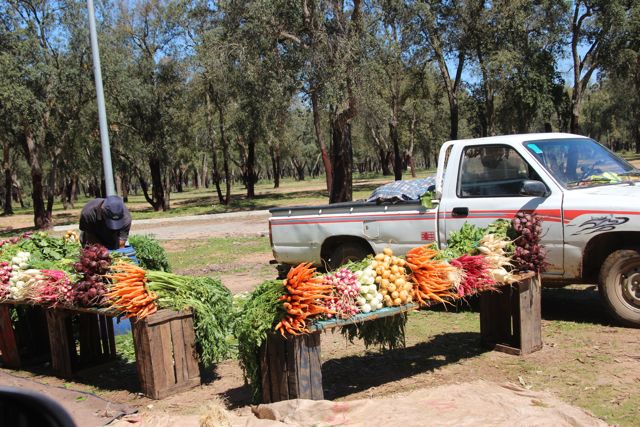 1019 Meknes Kenitra0