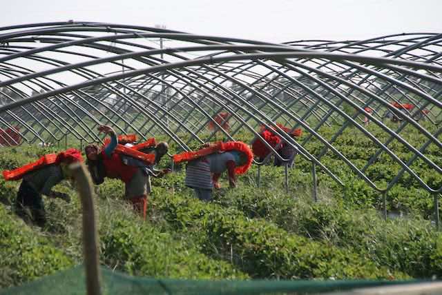 1028 Moulay Bousselham