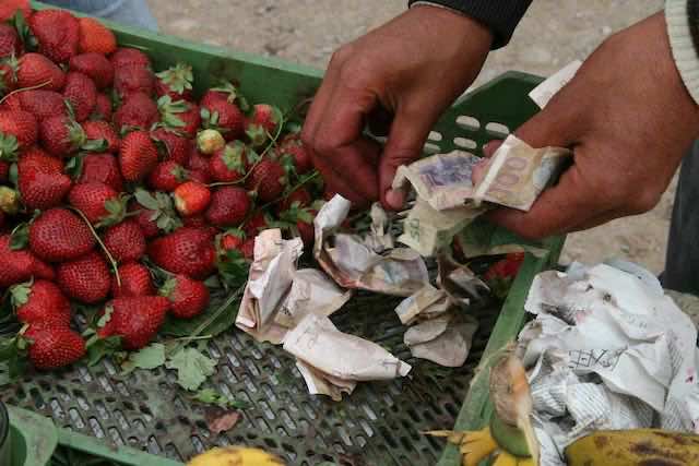 1029 Moulay Bousselham