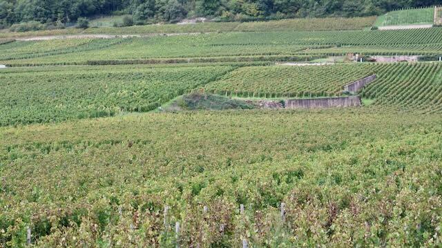 09/25 0073 route lac de kir Nuit St Georges