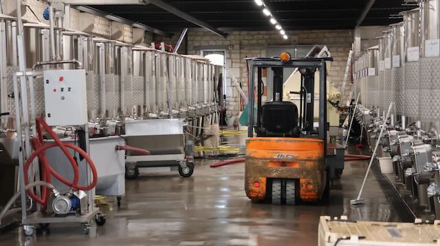 09/25 0081 cave Moillard