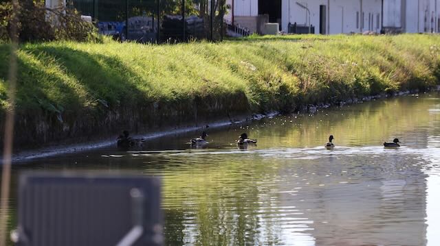 09/25 0225 croisière de la voûte (l'avant)
