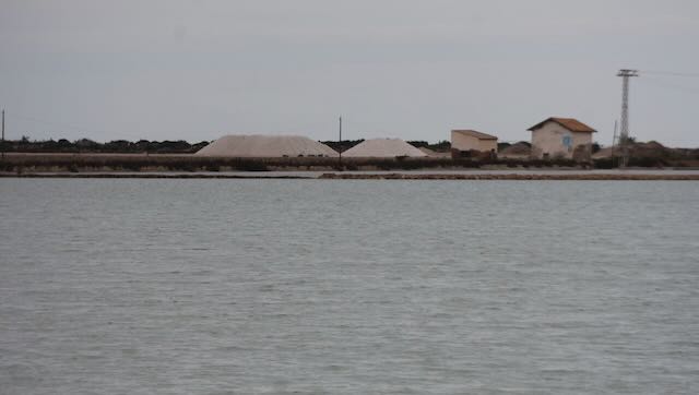 01 26 0296 salines del Pinet