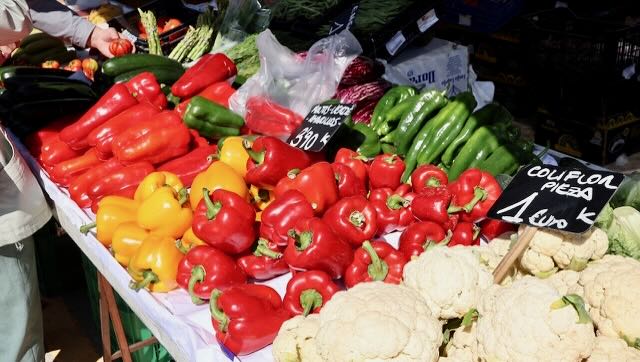 01 26 0302 marché Guardamar del Segura