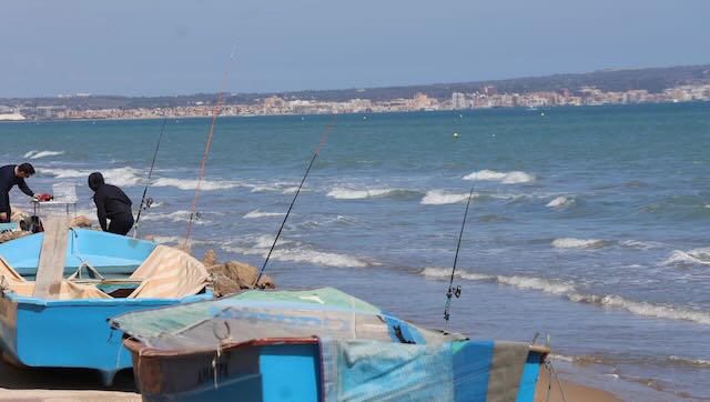 01 26 0312 plage del Pinet