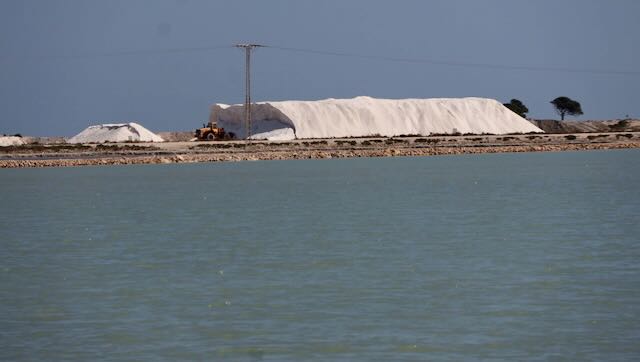 01 26 0345 Parc naturel des salines