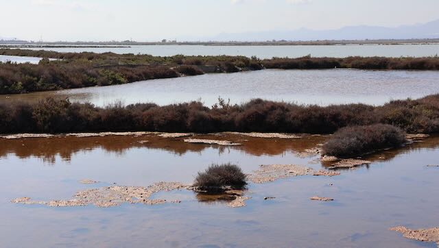 01 26 0346 Parc naturel des salines