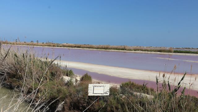 01 26 0348 Parc naturel des salines
