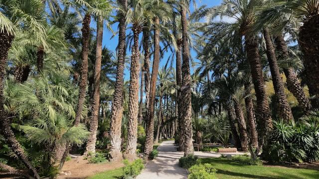 01 26 0374 le jardin du curé Elche