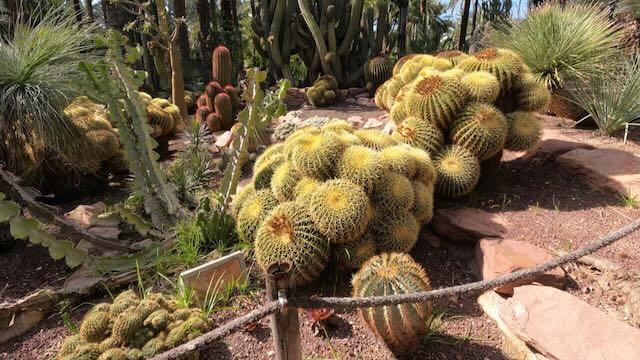 01 26 0376 le jardin du curé Elche