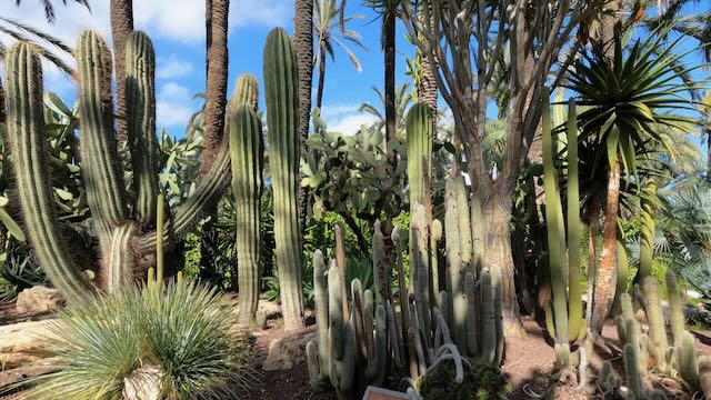 01 26 0379 le jardin du curé Elche