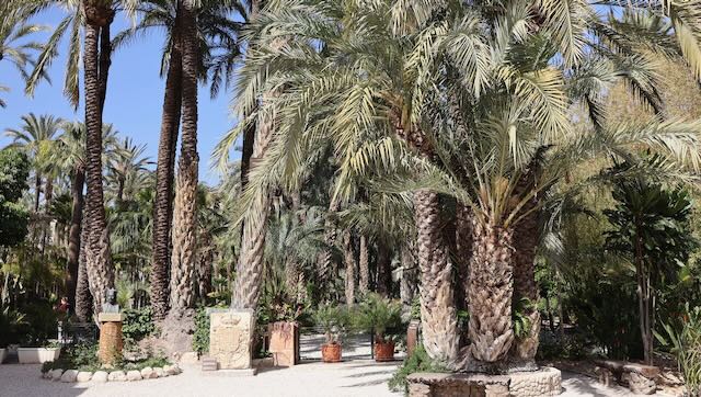 01 26 0380 le jardin du curé Elche