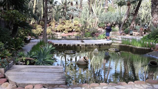01 26 0391 le jardin du curé Elche