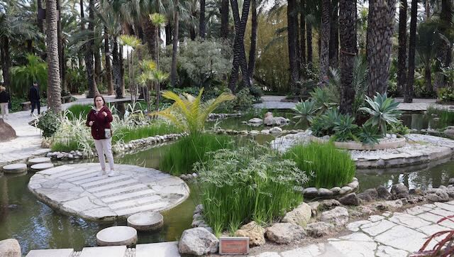 01 26 0401 le jardin du curé Elche