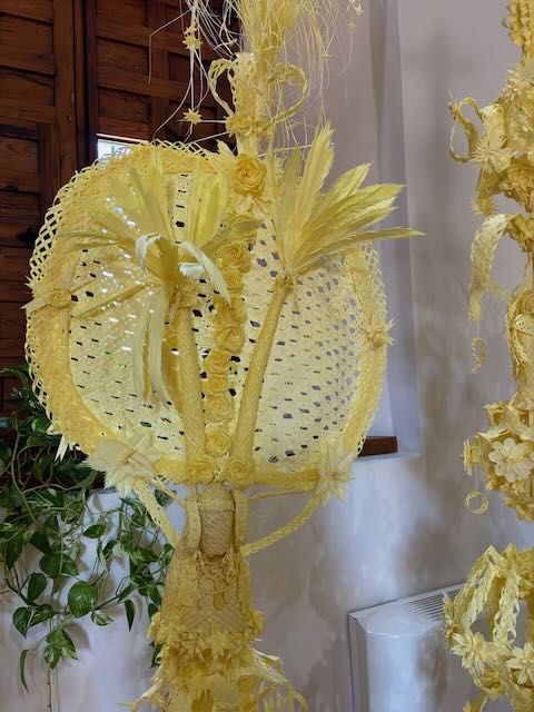 01 26 0479 des palmes blanches