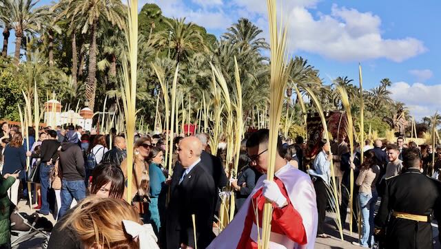 01 26 0511 Procession des Rameaux Elche