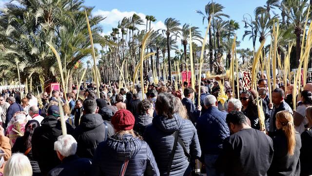 01 26 0513 Procession des Rameaux Elche