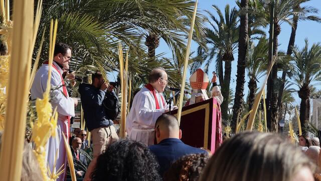 01 26 0515 Procession des Rameaux Elche