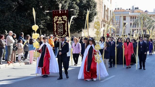 01 26 0527 Procession des Rameaux Elche