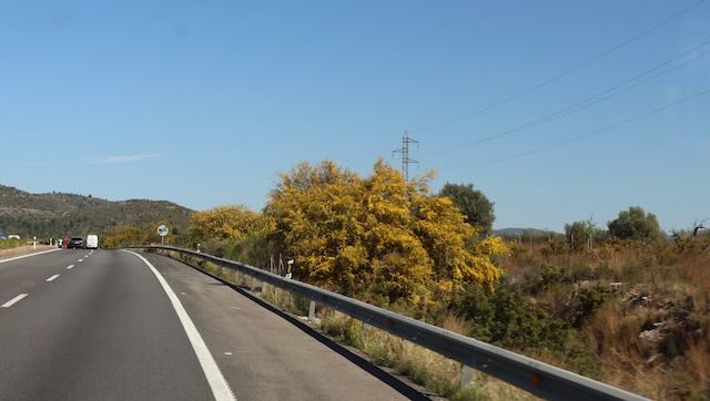 01 26 0535 La Pobla de Farnals l'Aldea