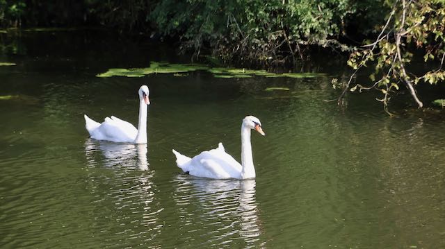 8 25 OO22 Scey Saone