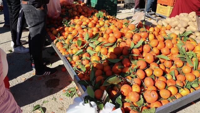 01 26 0028 Marché Puerto de Mazarron