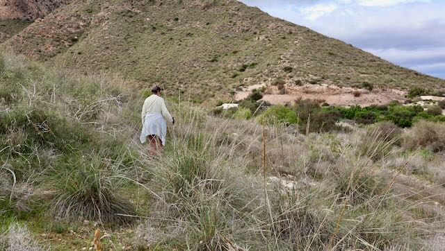 01 26 0074 alentours de l'aire Mazarrone