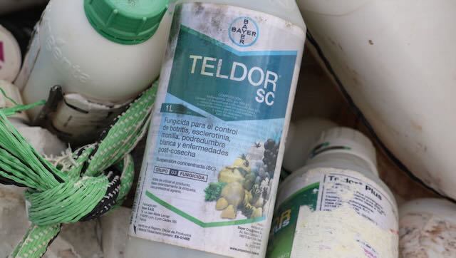 01 26 0084a alentours de l'aire Mazarrone