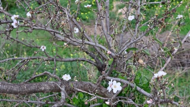 01 26 0088 alentours de l'aire Mazarrone