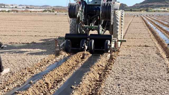 01 26 0099 les champs