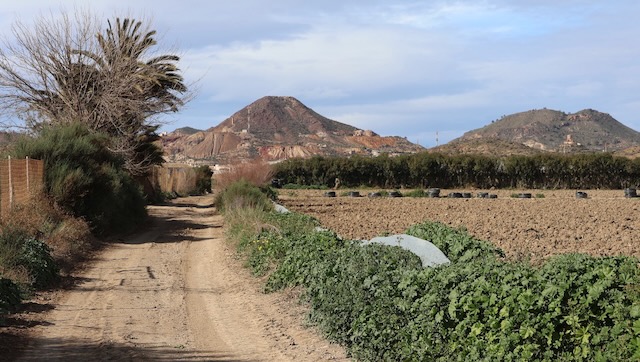 01 26 0100 les champs