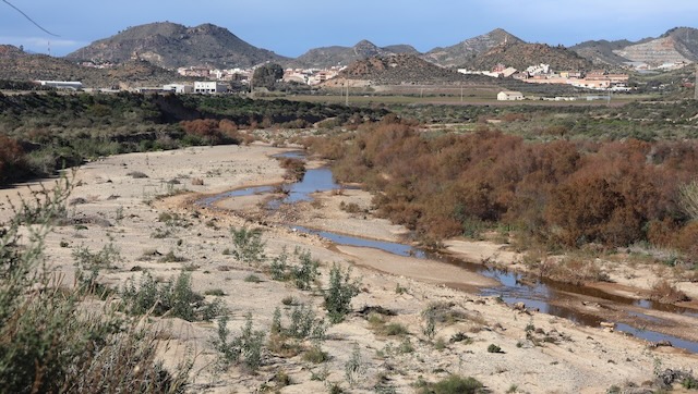 01 26 0104 les champs