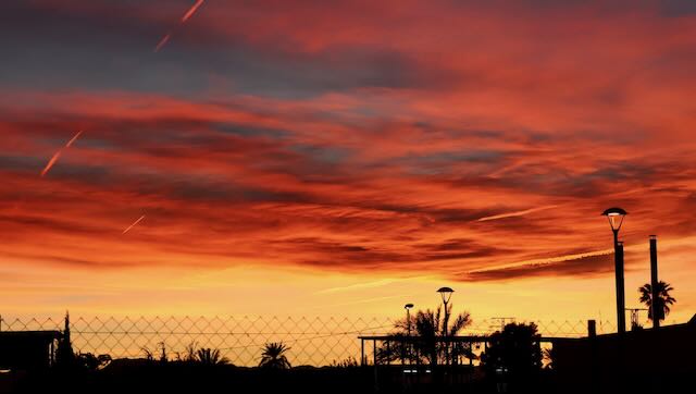 01 26 0154 Murcia park