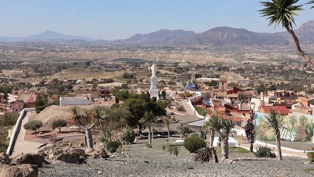 01 26 0253 joli jardin avec des plantes du désert