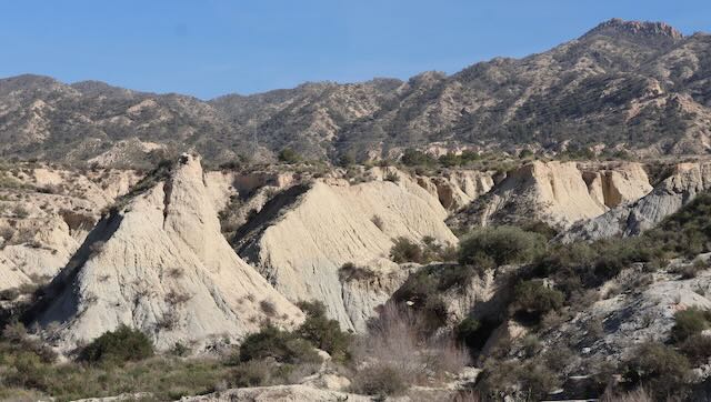 01 26 0263 déserts à Abanilla