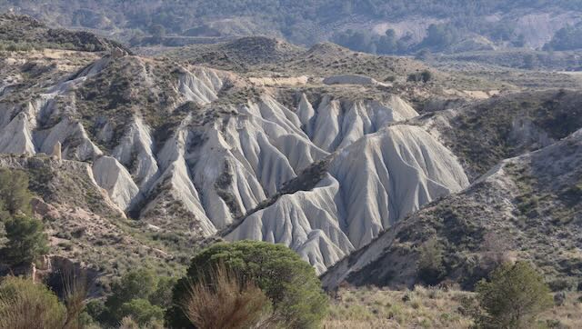 01 26 0265 déserts à Abanilla