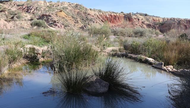 01 26 0268 randonnée long de la rivière Chicamo