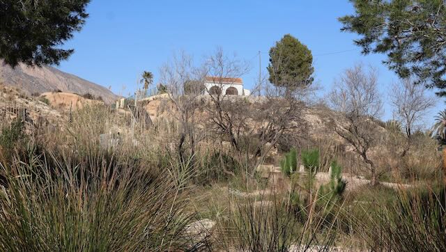 01 26 0269 randonnée long de la rivière Chicamo