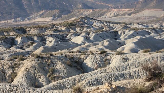 01 26 0274 déserts à Abanilla