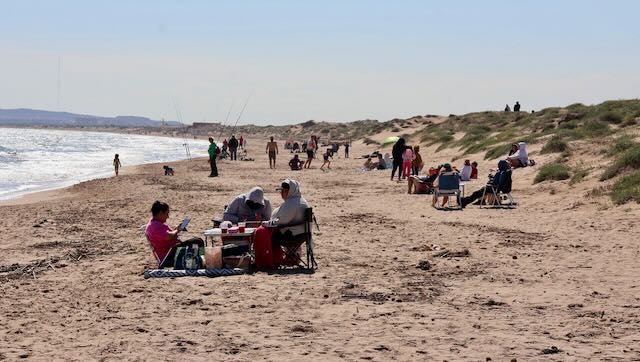 01 26 0315 plage del Pinet
