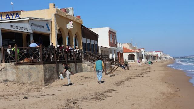 01 26 0316 plage del Pinet